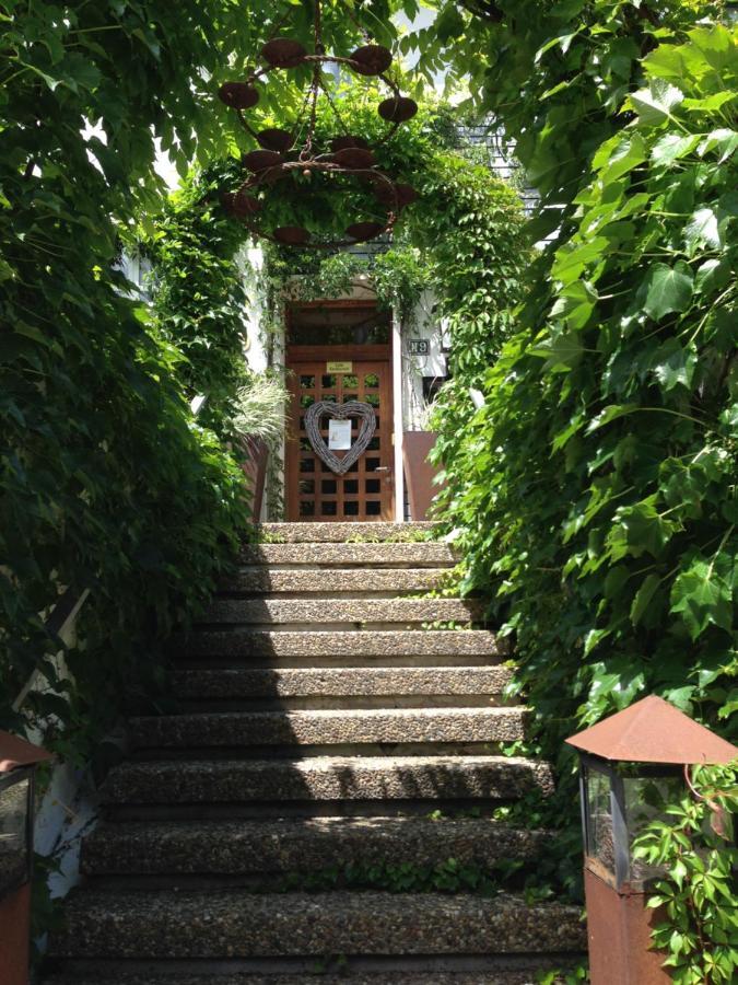 Murmeltier Hausen im Tal Extérieur photo